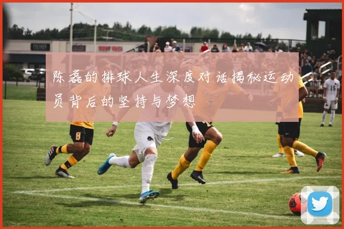 陈磊的排球人生深度对话揭秘运动员背后的坚持与梦想