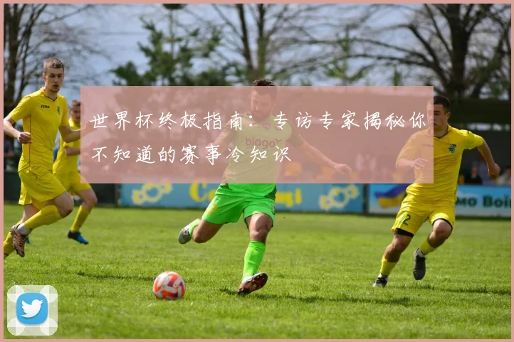 世界杯终极指南：专访专家揭秘你不知道的赛事冷知识