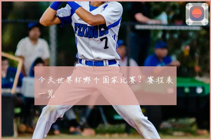今天世界杯哪个国家比赛？赛程表一览
