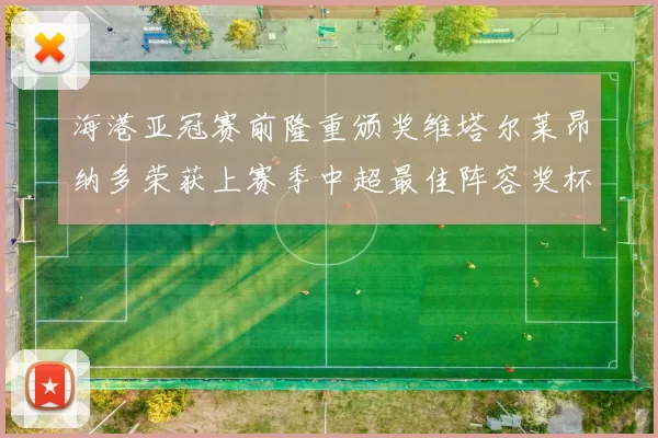 海港亚冠赛前隆重颁奖维塔尔莱昂纳多荣获上赛季中超最佳阵容奖杯