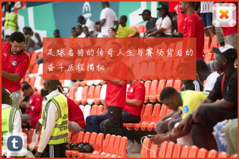 足球名将的传奇人生与赛场背后的奋斗历程揭秘