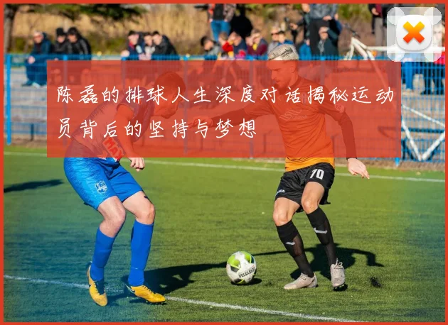 陈磊的排球人生深度对话揭秘运动员背后的坚持与梦想