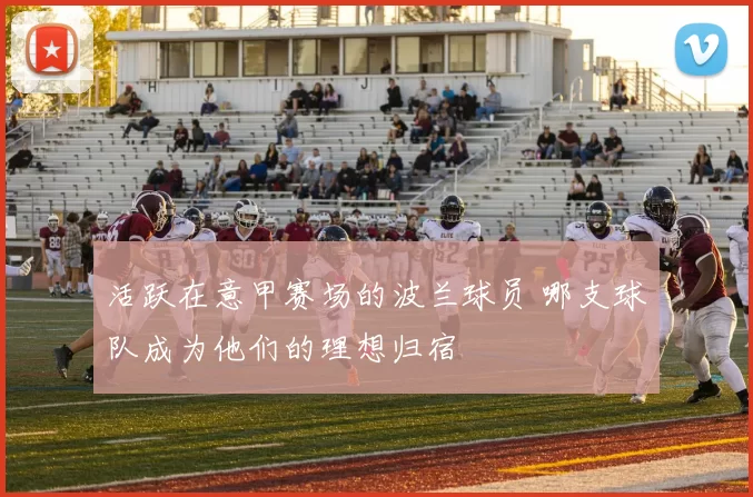 活跃在意甲赛场的波兰球员 哪支球队成为他们的理想归宿