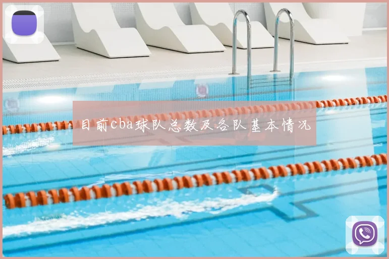 目前cba球队总数及各队基本情况
